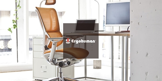 Ergohuman Professional Dealer